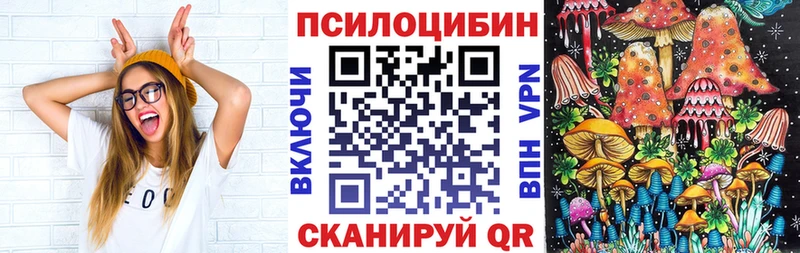 Купить где  Кизляр  Галлюциногенные грибы GOLDEN TEACHER 